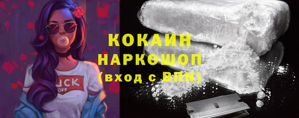 гидра Арсеньев