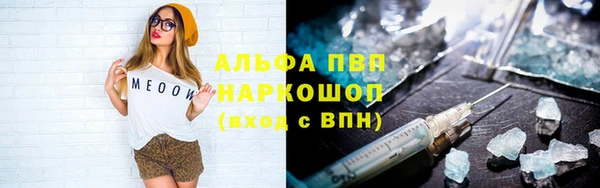 гидра Арсеньев