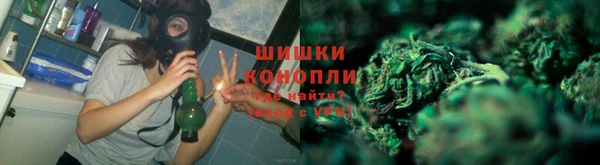 спайс Аркадак