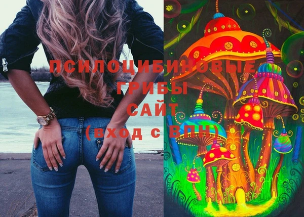 спайс Аркадак