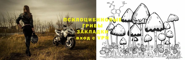 спайс Аркадак