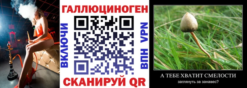 Псилоцибиновые грибы Magic Shrooms как найти omg Бологое